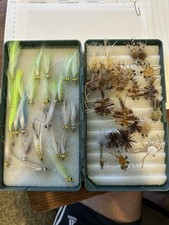 Merkin Crab, Permit Crab, Crab