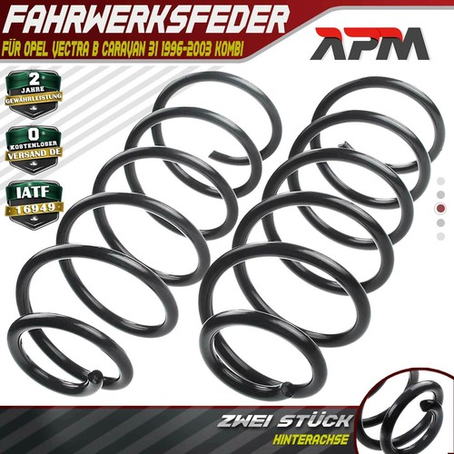 Suspension springs rear - 2x,
