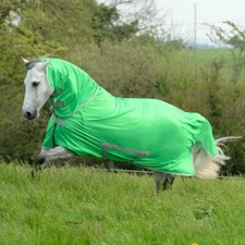 Bucas Freedom Fly Rug Classic