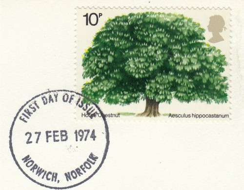 Horse chestnut tree used - tree,