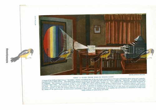 The spectrum basis - the, of