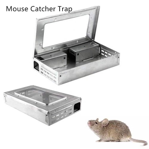 Rat mouse trap live - mouse, catcher
