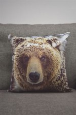 Big bear filled cushion - big, 43x43