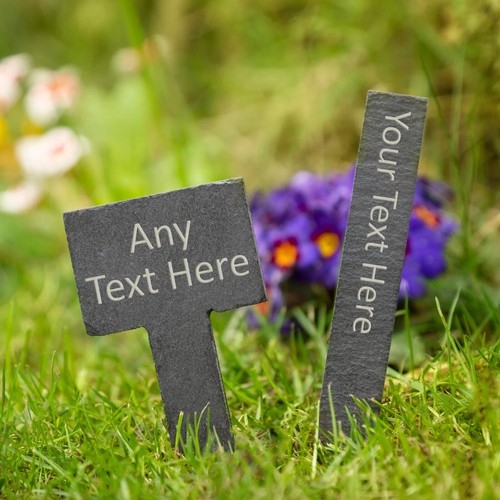 Slate allotment garden - allotment,