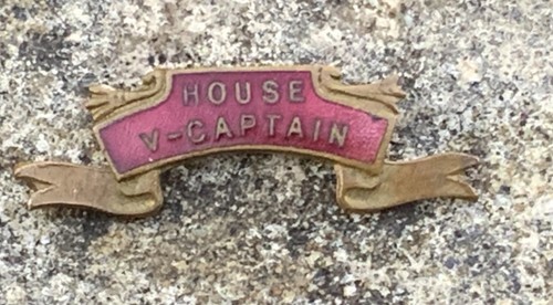 Vintage british school - vintage,