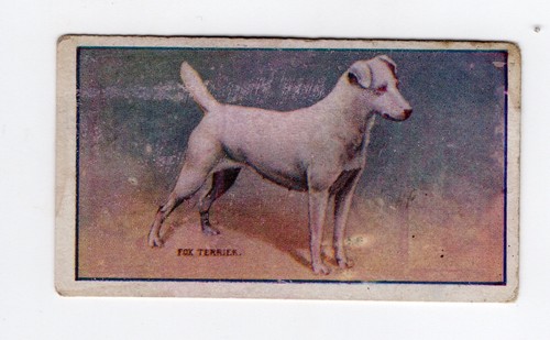 Sniders abrahams dogs - abrahams dogs, card