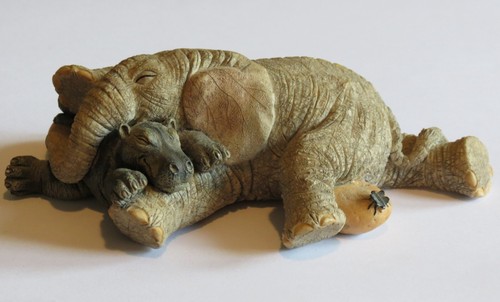 Tuskers dozing dawn with - dawn,