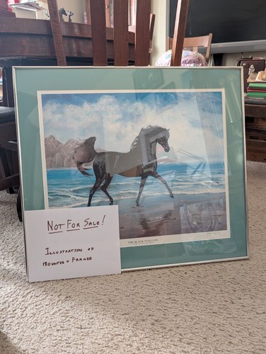 The black stallion a - black,
