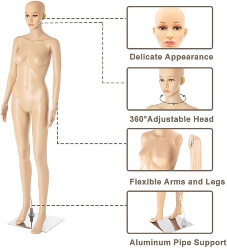 Height full body - 68",