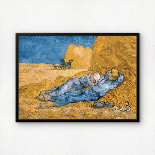 The siesta vincent - the,