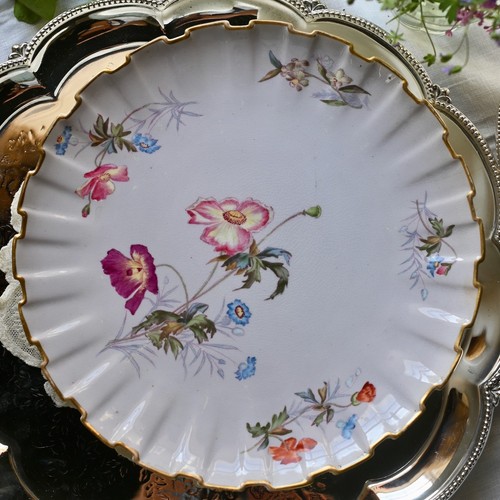 Antique copeland china - antique, copeland’s