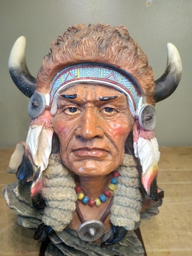 Native american chief - native, buffalo