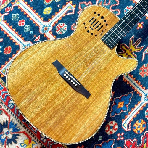 Godin multiac steel - multiac,