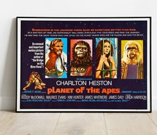 Planet Of The Apes Photo /