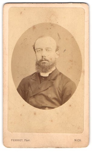 Photo ferret nice french - photo,