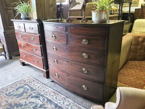 Handsome bow fronted flame - a,