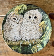 Wedgwood  Bone China The Baby