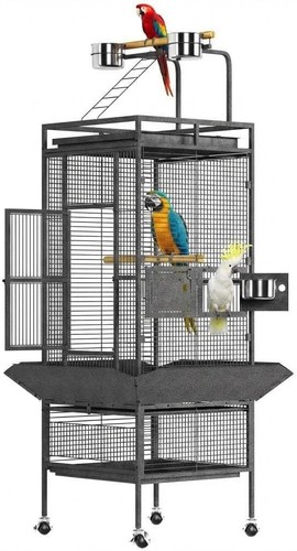 Inch large parrot - 61-inch,