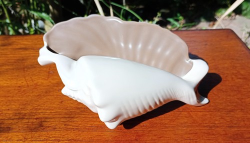 Poole pottery conch shell vase - conch,