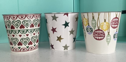 Emma bridgewater plant - bridgewater, m&s