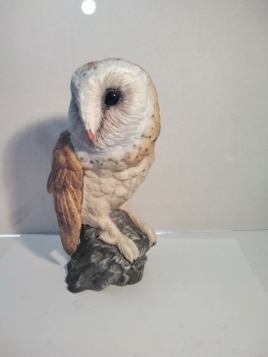 Leonardo collection barn owl - barn,