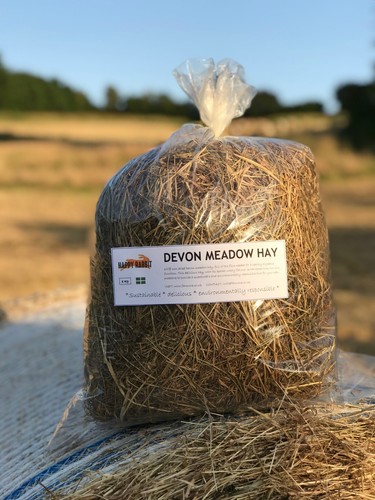 Hay for your pet - -, free