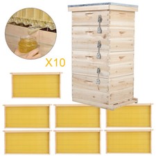 4 Tiers Langstroth Beehive Box