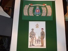 THE KING'S REGIMENT BATTLE