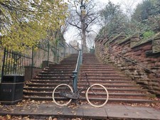 GOLDEN SUNBEAM ALL-BLACK 1923