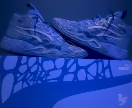 Puma lafrancé 04 - puma, x