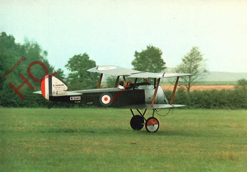Picture postcard sopwith - picture, pup