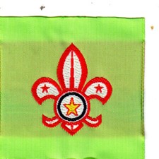 Boy  SENIOR Scout Membership