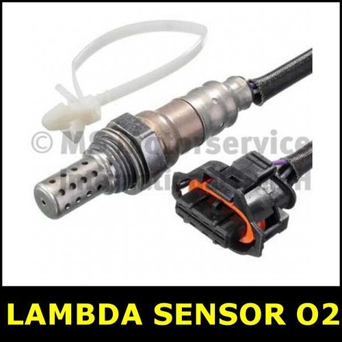 Lambda sensor before cat - lambda,