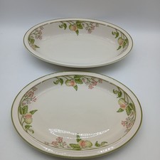 Vintage Wedgwood Wild Apple