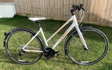 Ideal Xmas present Giant Liv