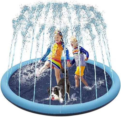 Dog pool paddling - dog, for