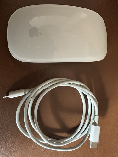 Apple magic mouse model - magic, 2