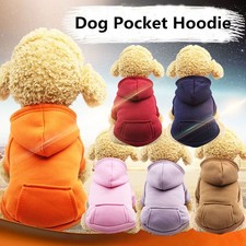 Autumn Winter Warm Puppy