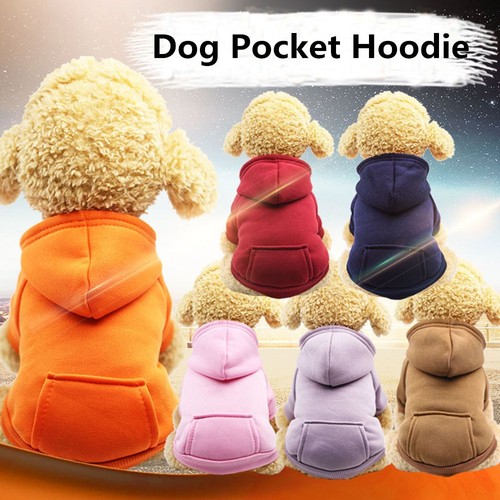 Autumn winter warm puppy - winter,