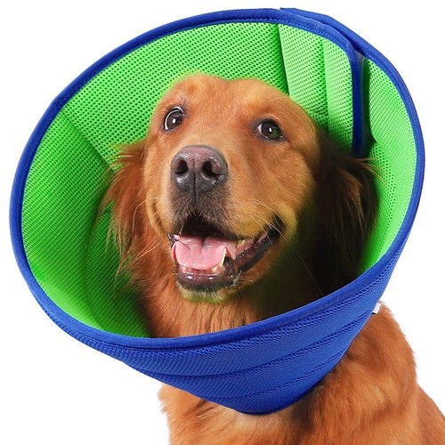 Pet recovery lightweight - pet,