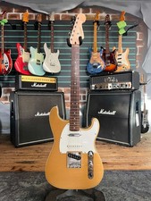 Squier Paranormal Custom