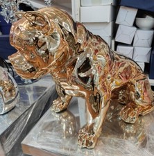 XXL 60cmx40cm American bully