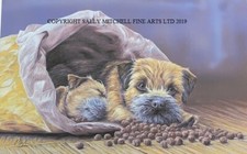 Paul Doyle New Border Terrier Limited Edition Print 'Bed and Breakfast'