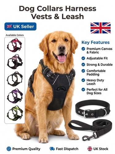 Leather dog collar harness - leather,