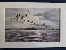 VINTAGE PETER SCOTT PRINT