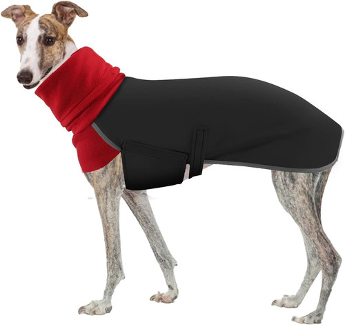 Greyhound winter coat salukis - coat,,