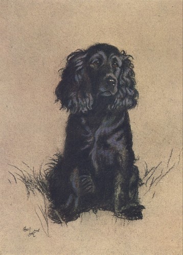 Cecil aldin dog prints - dog, dozen
