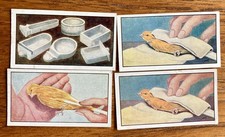HYDE'S BIRD SEEDS CARDS Canary Culture Series #4, #51x2, #61