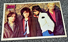 SIOUXSIE & THE BANSHEES large