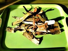 BIRCH BARK-BUSHCRAFT FIRE